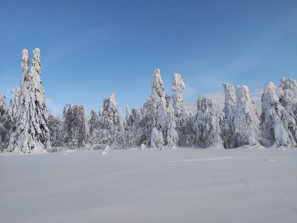 Снежная пермь