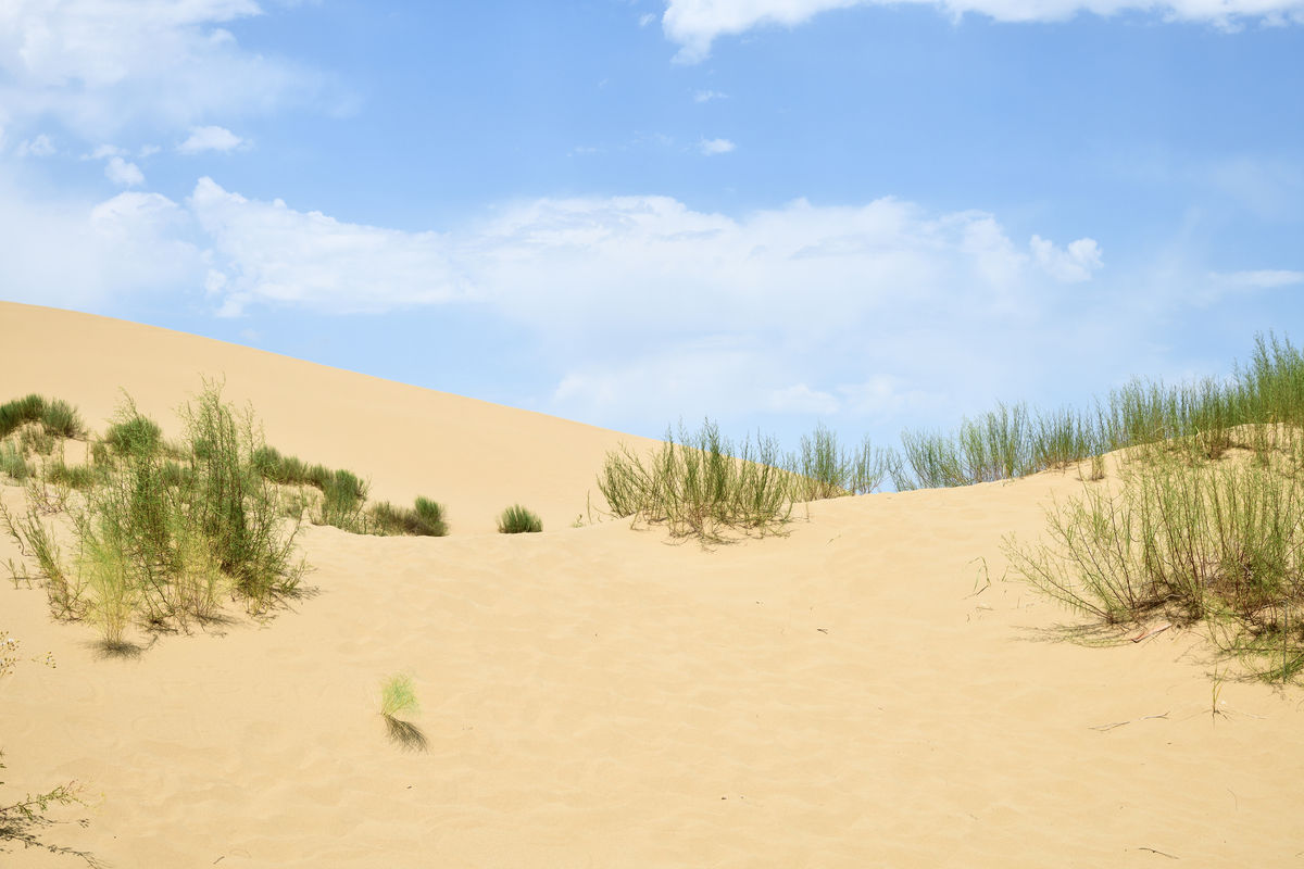 Песчаные дюны бархана Сарыкум
