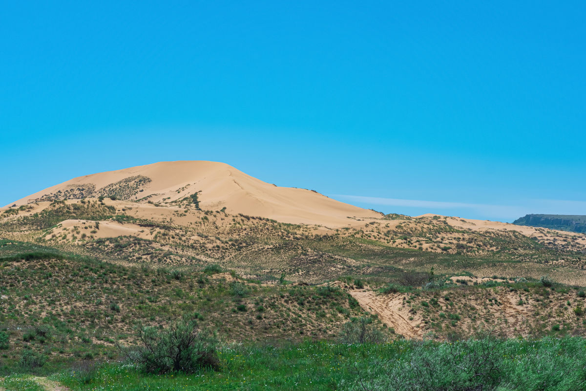 Полузасушливый ландшафт в окрестностях Сарыкумской песчаной дюны