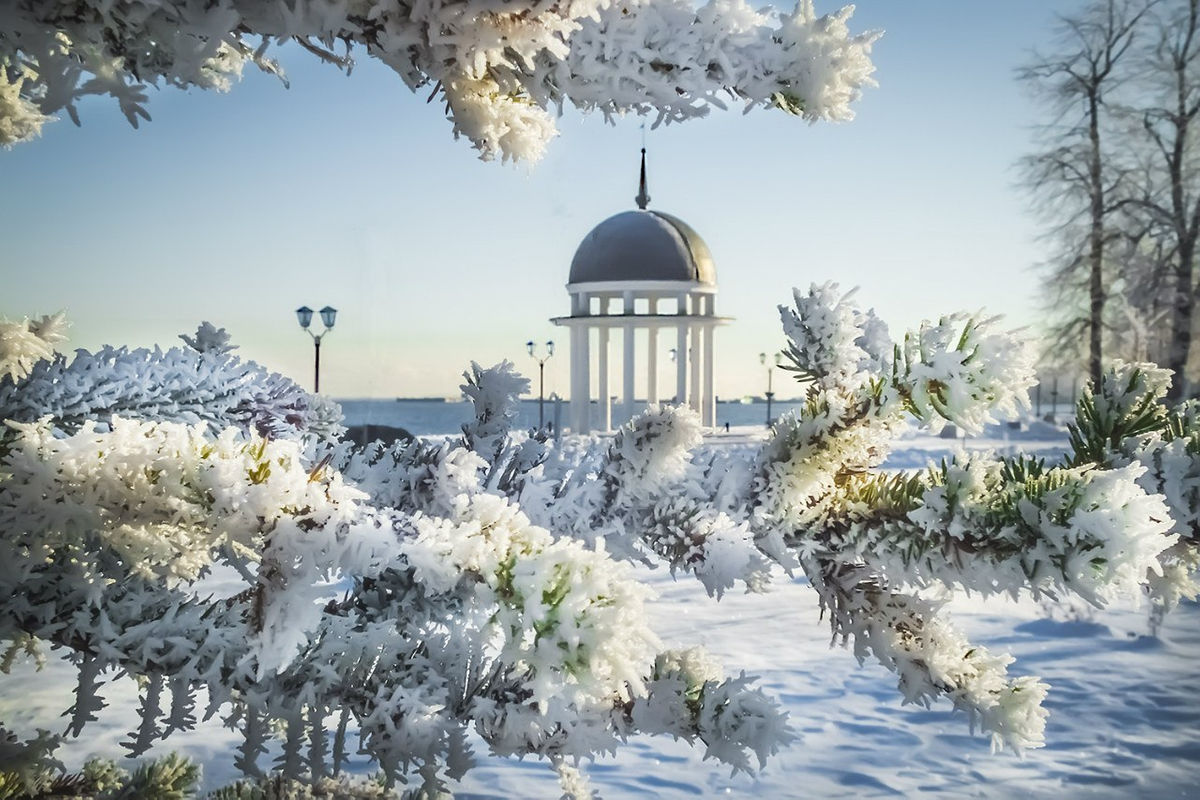 Фото петрозаводск зимой