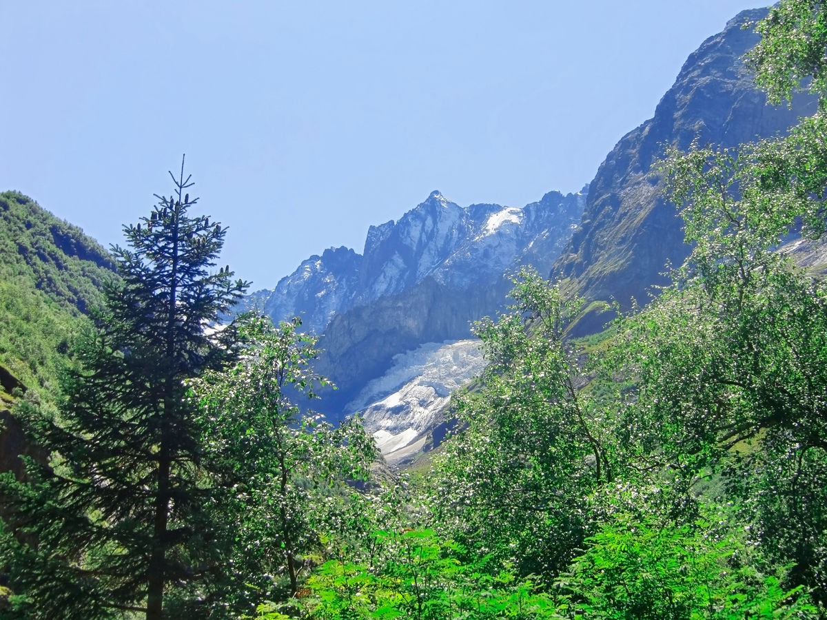 Кавказские горы и лес под ясным голубым небом