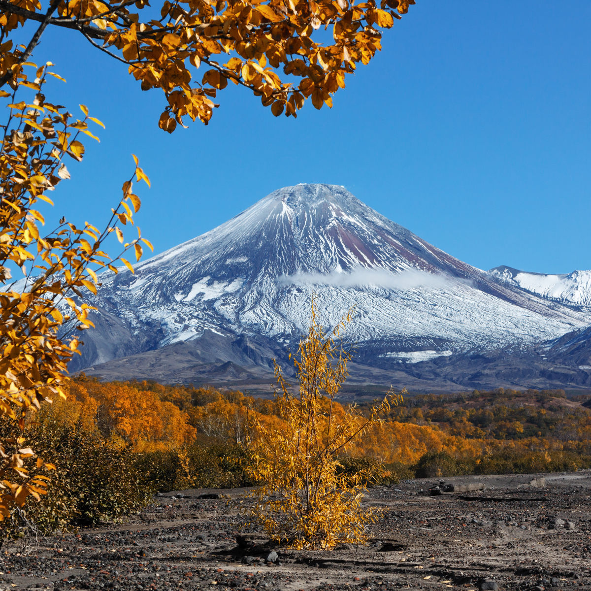 Петропавловск-Камчатский