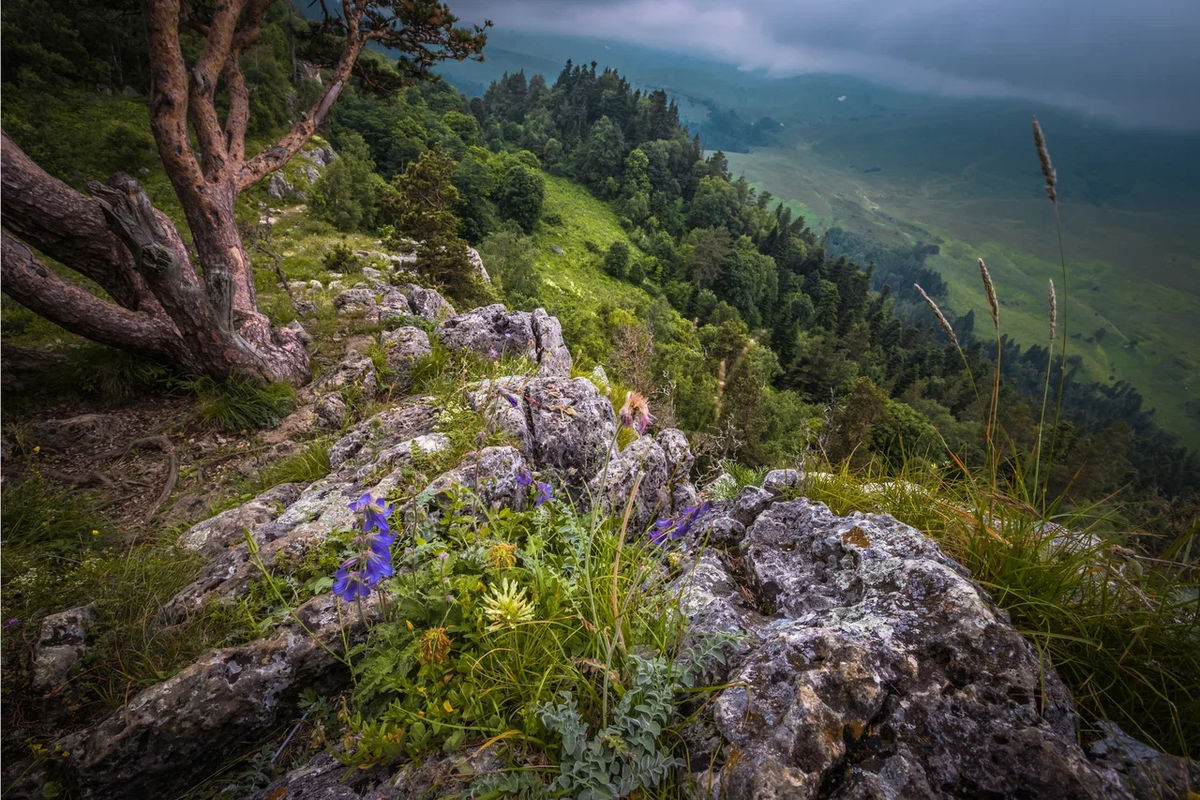 Плато Лагонаки Адыгея