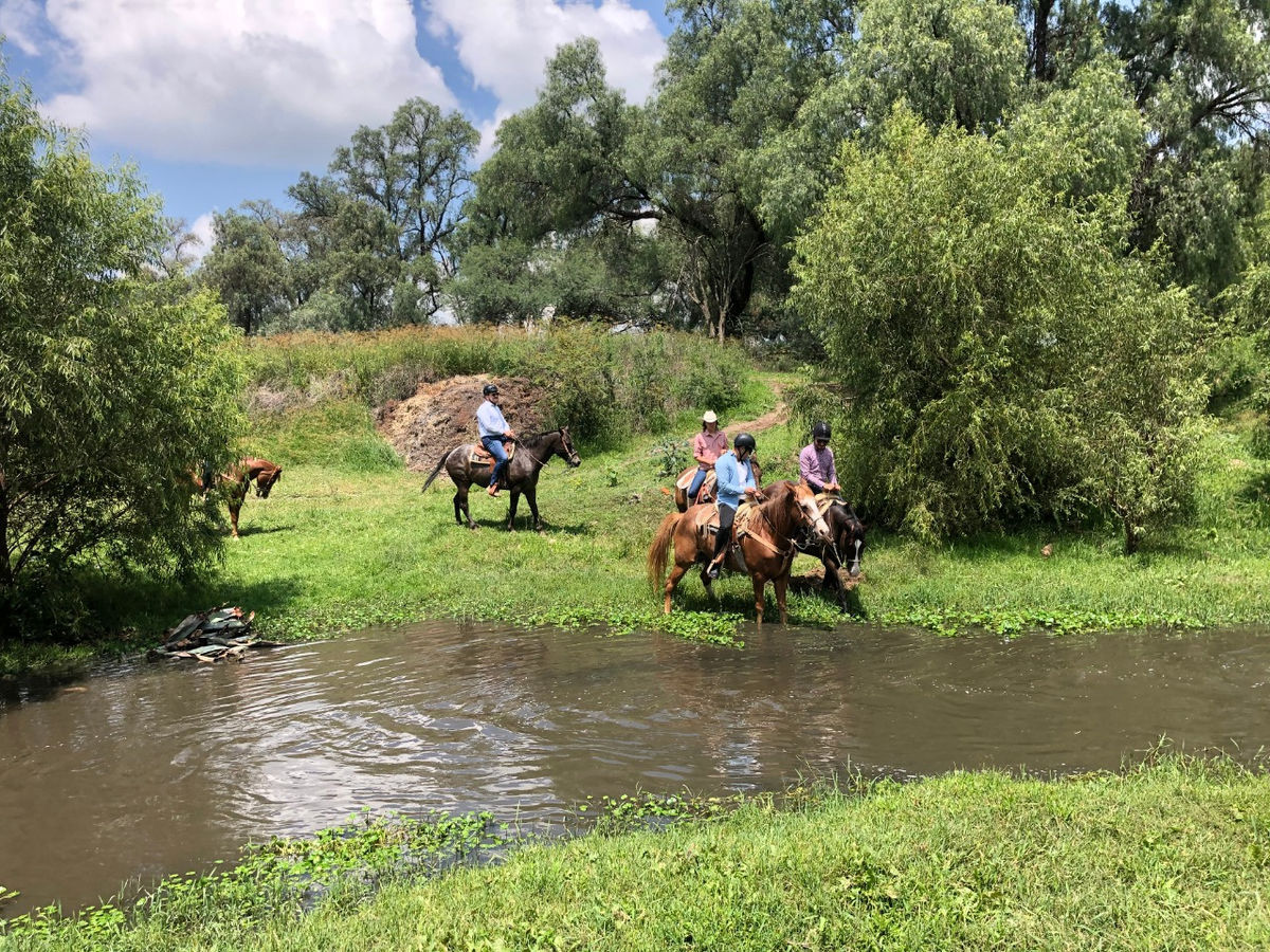 Horse riders in Mexico