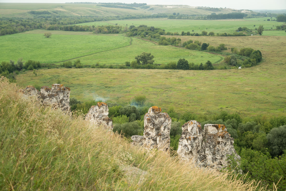 Вид на меловые дивы над долиной в Дивногорье, Воронежская область