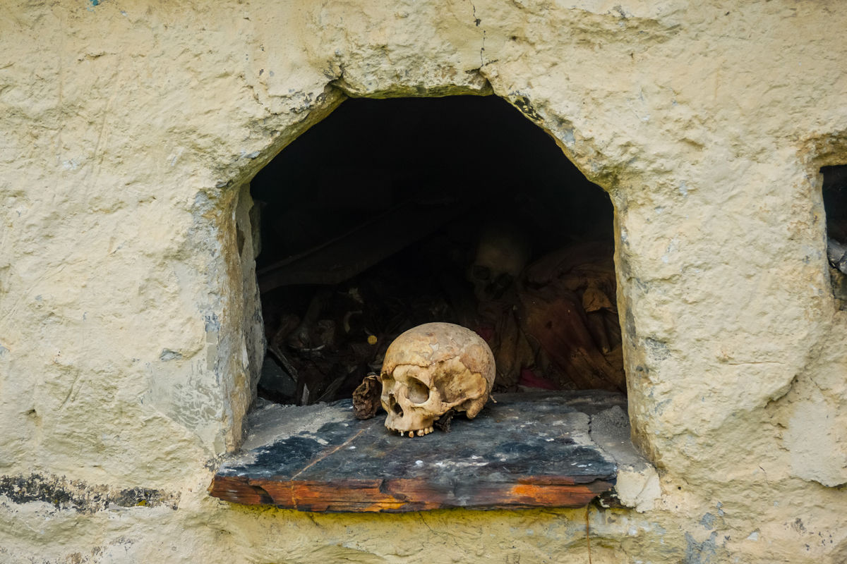 Череп в одном из склепов некрополя Даргавс