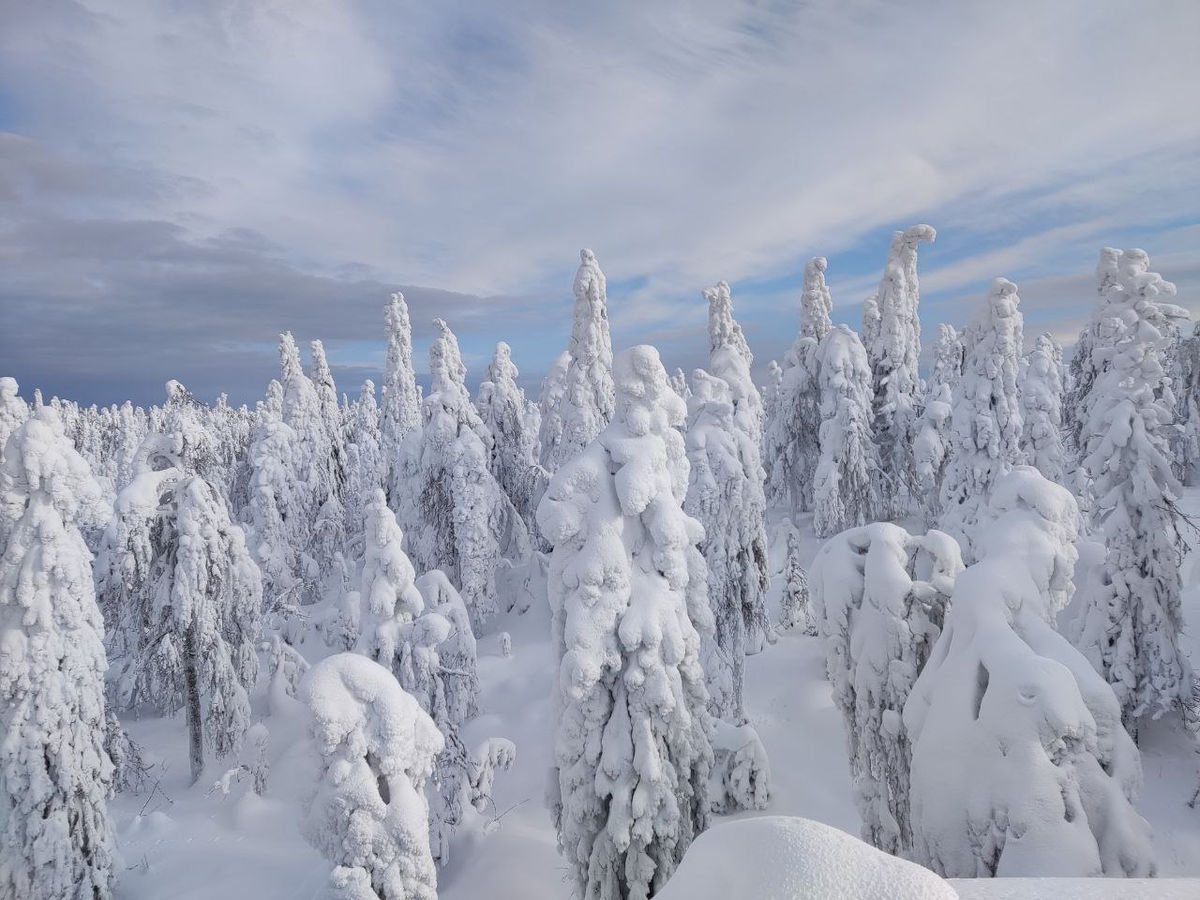 Снежная пермь