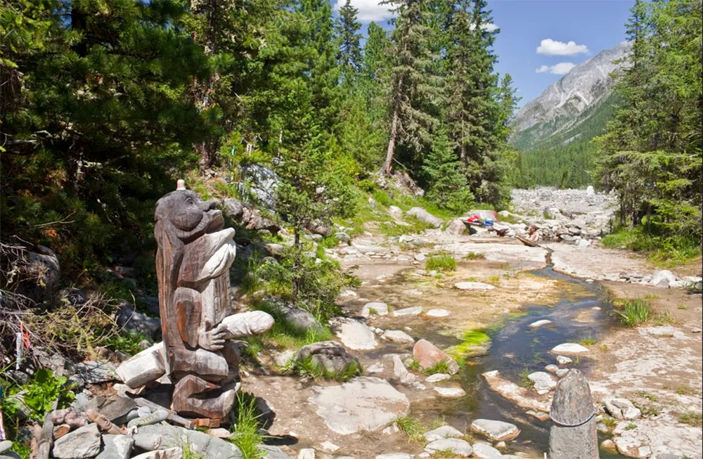 Шумак фото в хорошем качестве