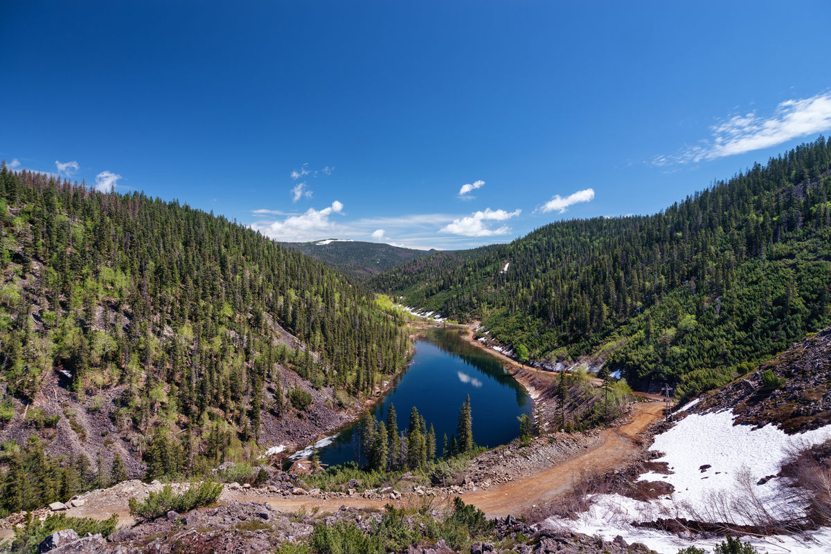 Джергинский заповедник Флора