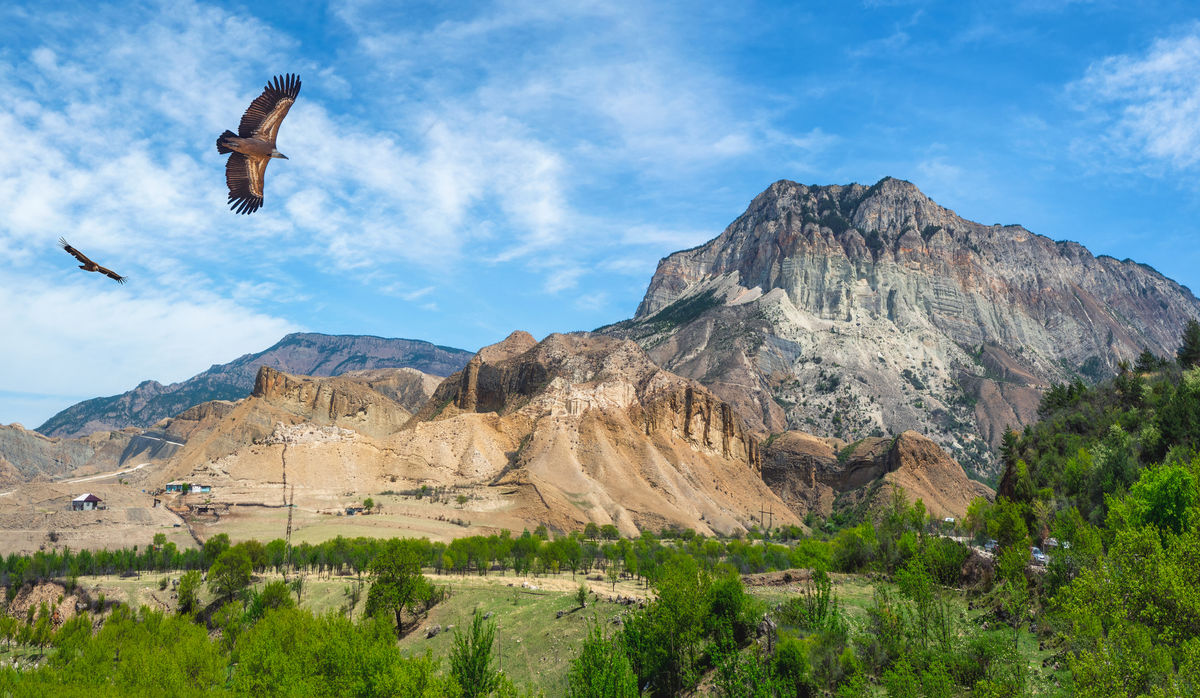 Горная долина с парящими орлами в Дагестане
