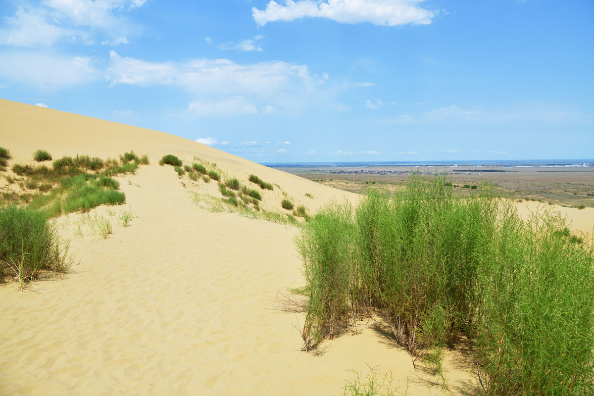 Песчаные дюны Сарыкумской дюны
