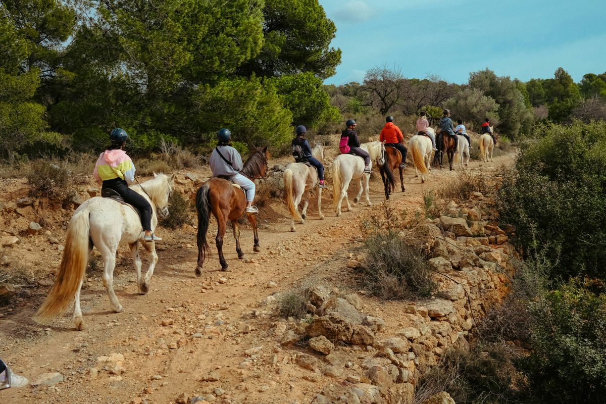 A group of horse riders in Spain