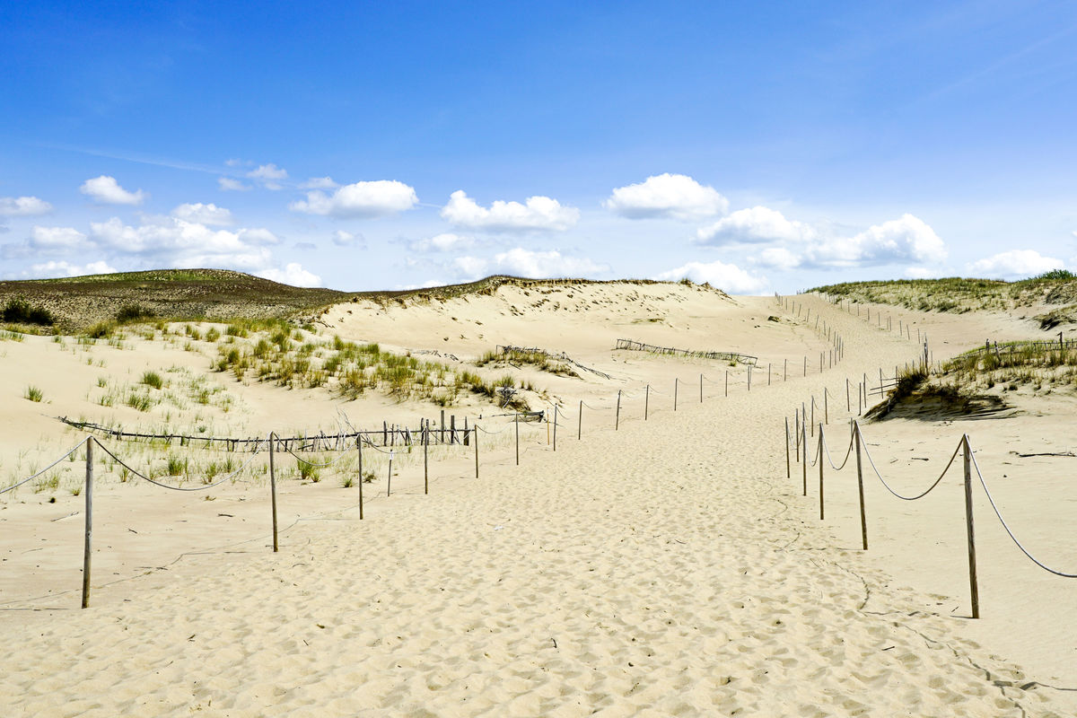 Красивый пейзаж песчаных дюн Куршской косы