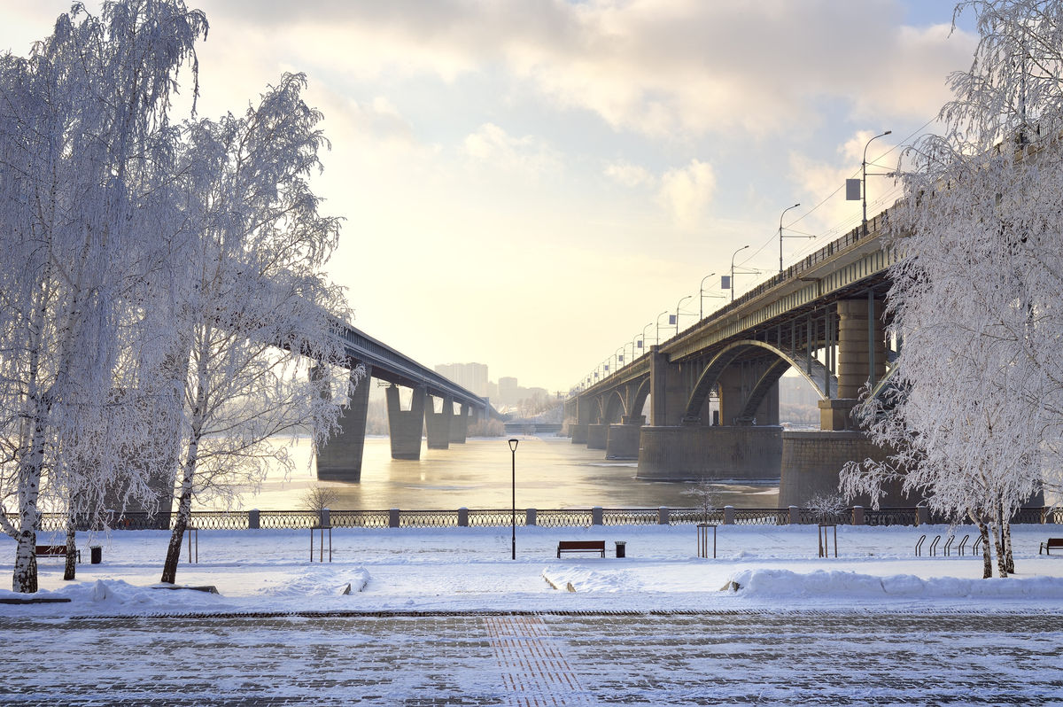 Купить Зимние В Новосибирске