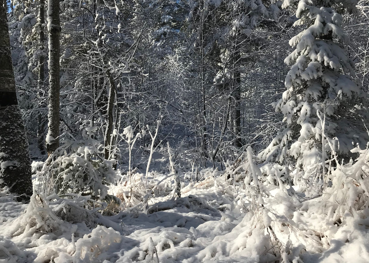 Всё было СУПЕР!!! Все было ЗДОРОВО! Уехали с очень хорошими впечатлениями обо всём и обо всех.