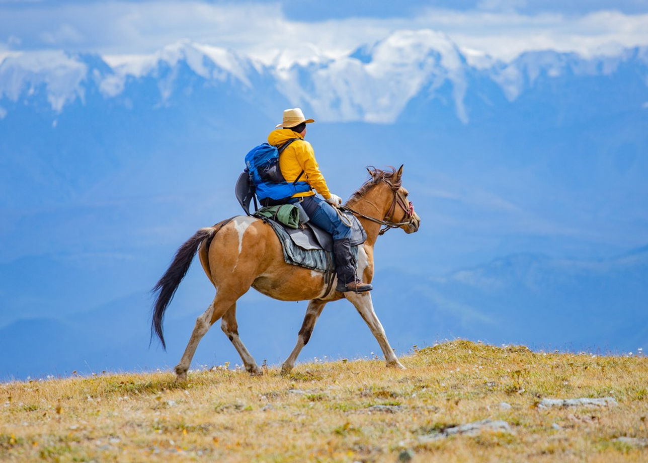Алтайские лошадки