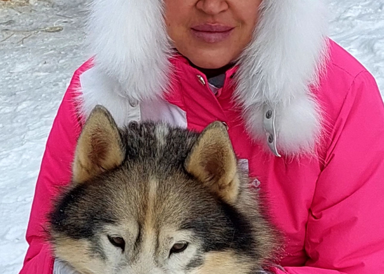 Тур с 23-25 февраля Ледяная Ладога. Питомник хасок, контактные и дружелюбные собаки. Катание на санях супер.