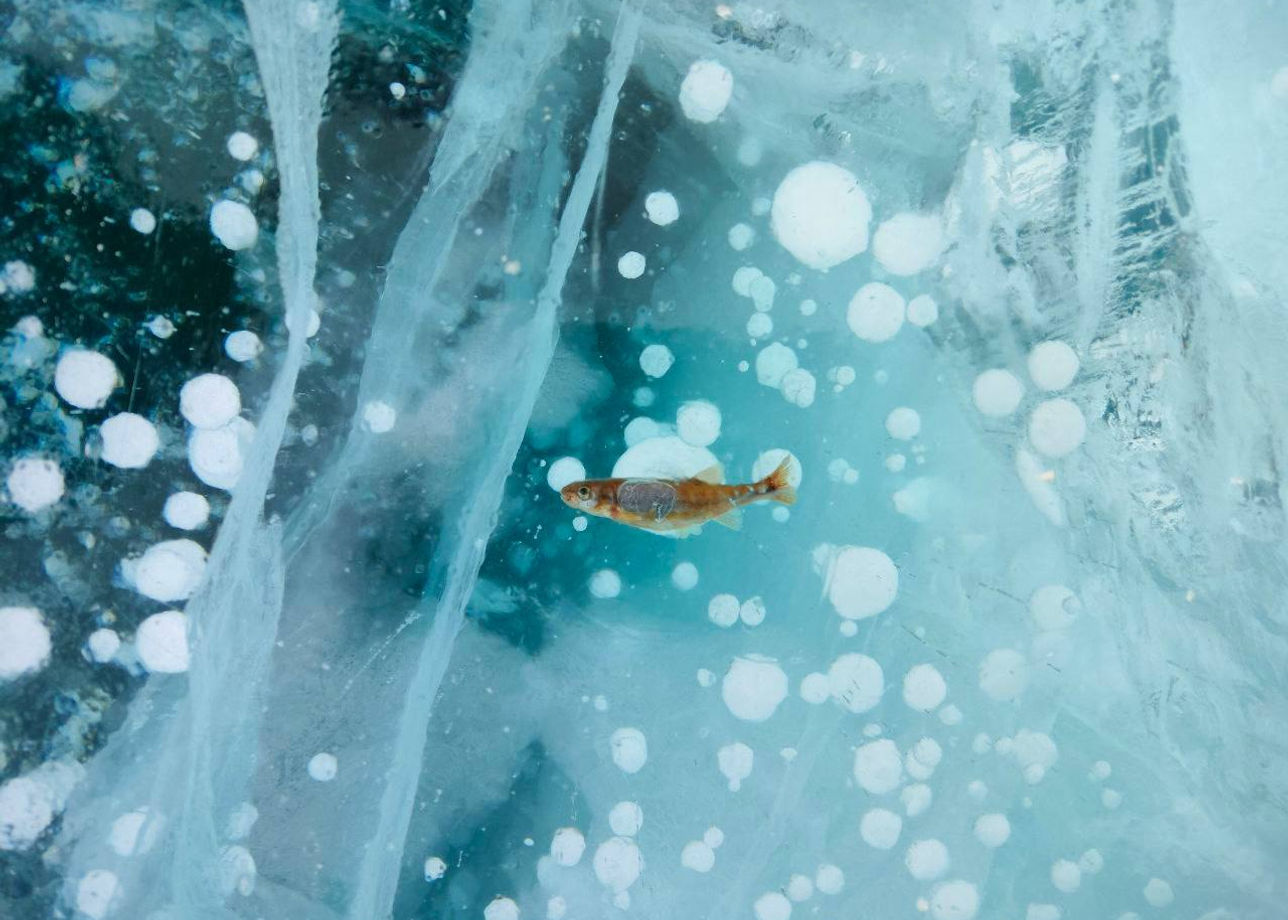 Невероятно прозрачный лед Байкала