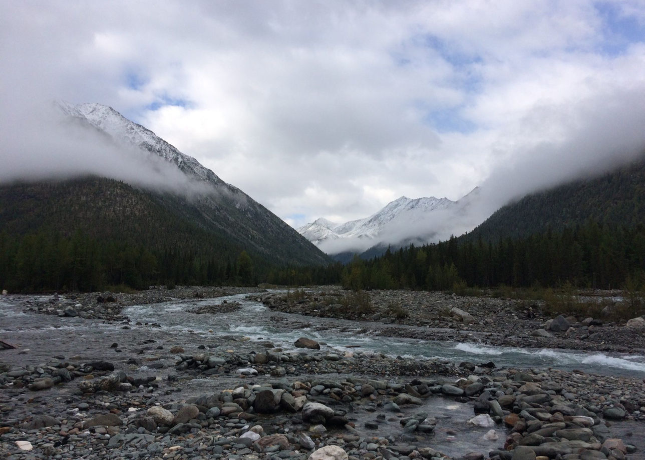 Шумак фото в хорошем качестве