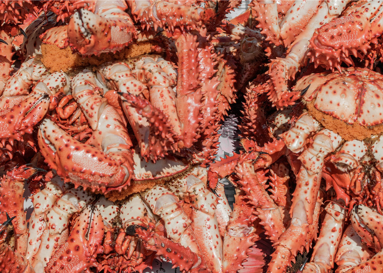 Сахалин морепродукты. Уши морепродукты. Крабы фото Сахалин зима. Морепродукты Сахалина фото.