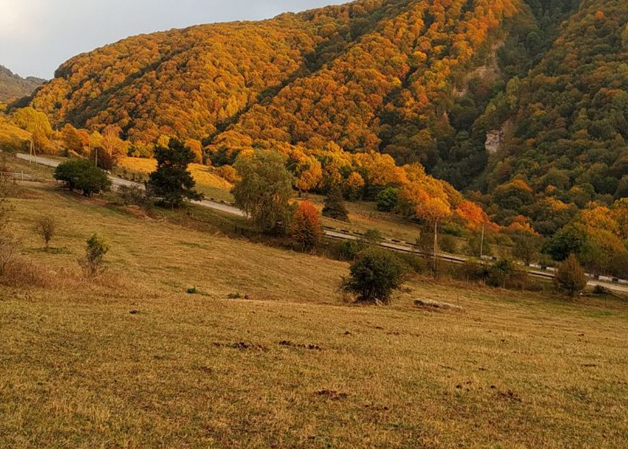 Величественная природа Кавказа, потрясающие пейзажи, замечательные лошади, неповторимый местный колорит… Это ключевые слова, которыми можно коротко