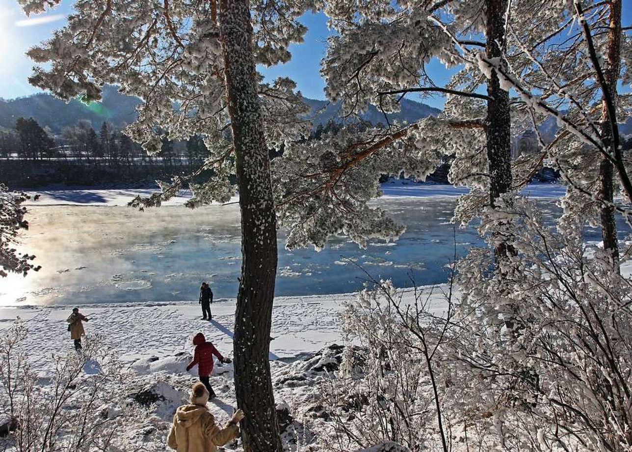 Катунь Алтайский край зимой