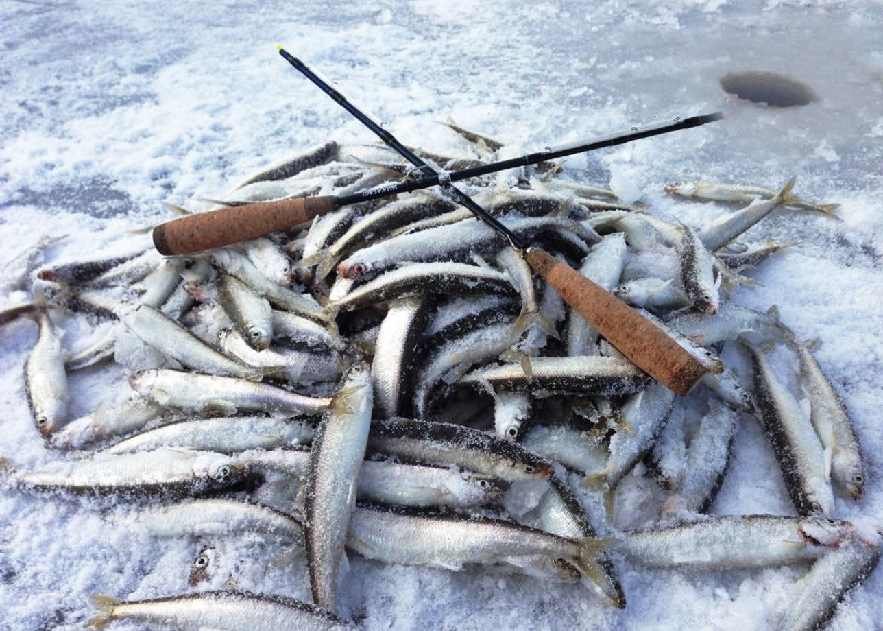 Сахалин зимняя рыбалка на корюшку