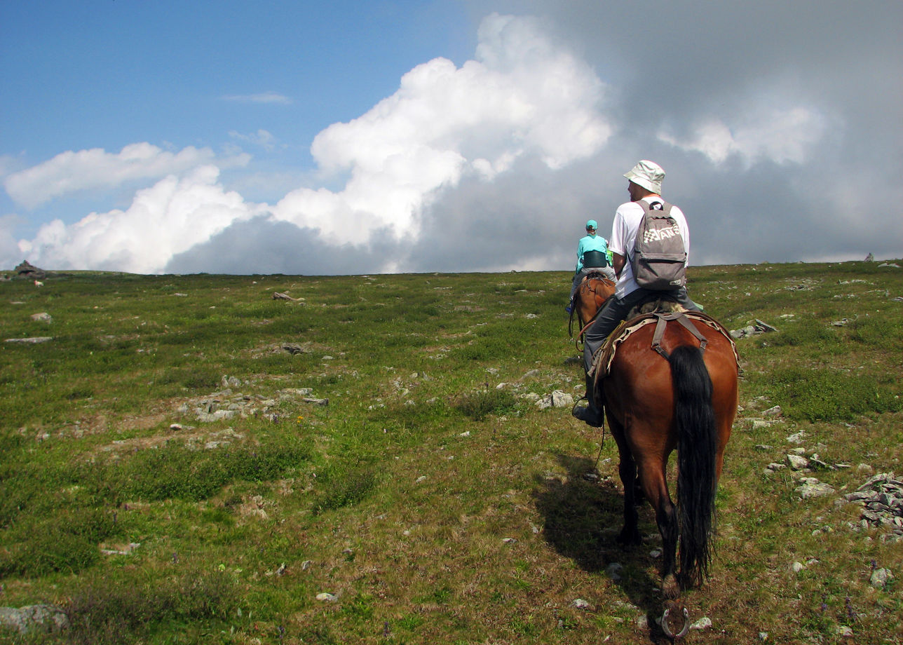 Даты тура: с 30.07.2023 по 6.08.2023. Великолепная природа горного Алтая, славные лошадки, приятные попутчики, профессиональные инструктор