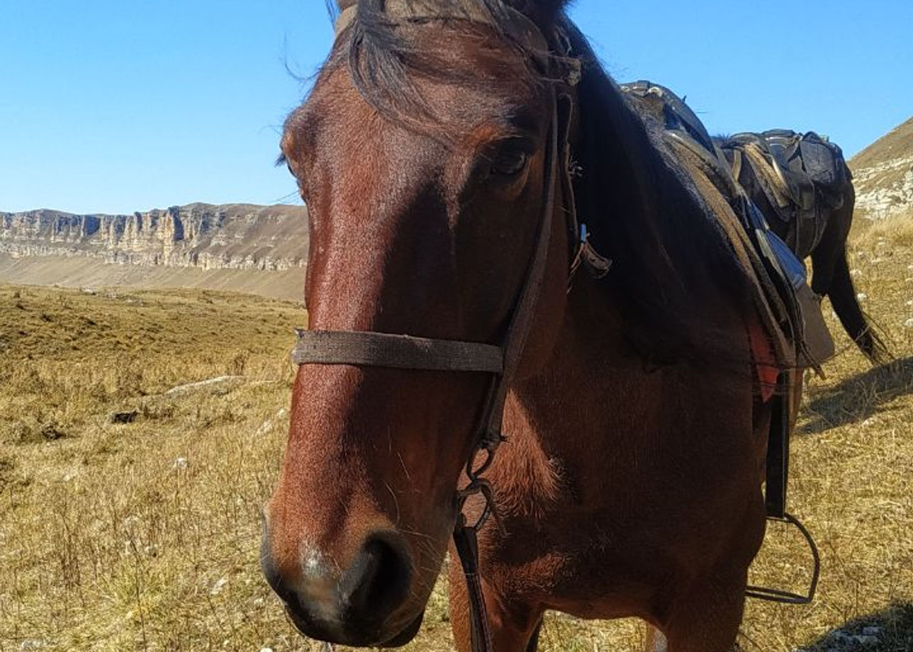Величественная природа Кавказа, потрясающие пейзажи, замечательные лошади, неповторимый местный колорит… Это ключевые слова, которыми можно коротко
