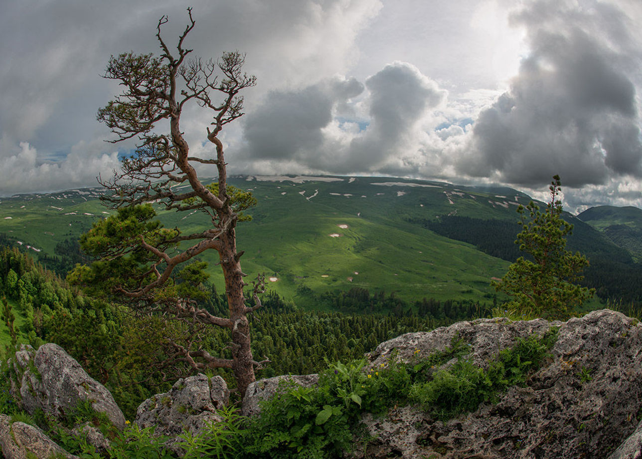 Плато лаго. Гора плато Лаго-Наки Адыгея. Адыгея плато Лаго Наки природа. Республика Адыгея горы Лагонаки. Горная Адыгея плато Лагонаки.