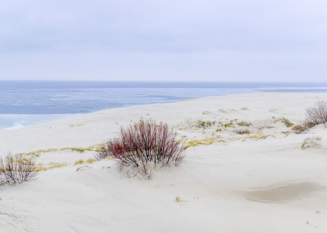 Прогулка по песчаным дюнам