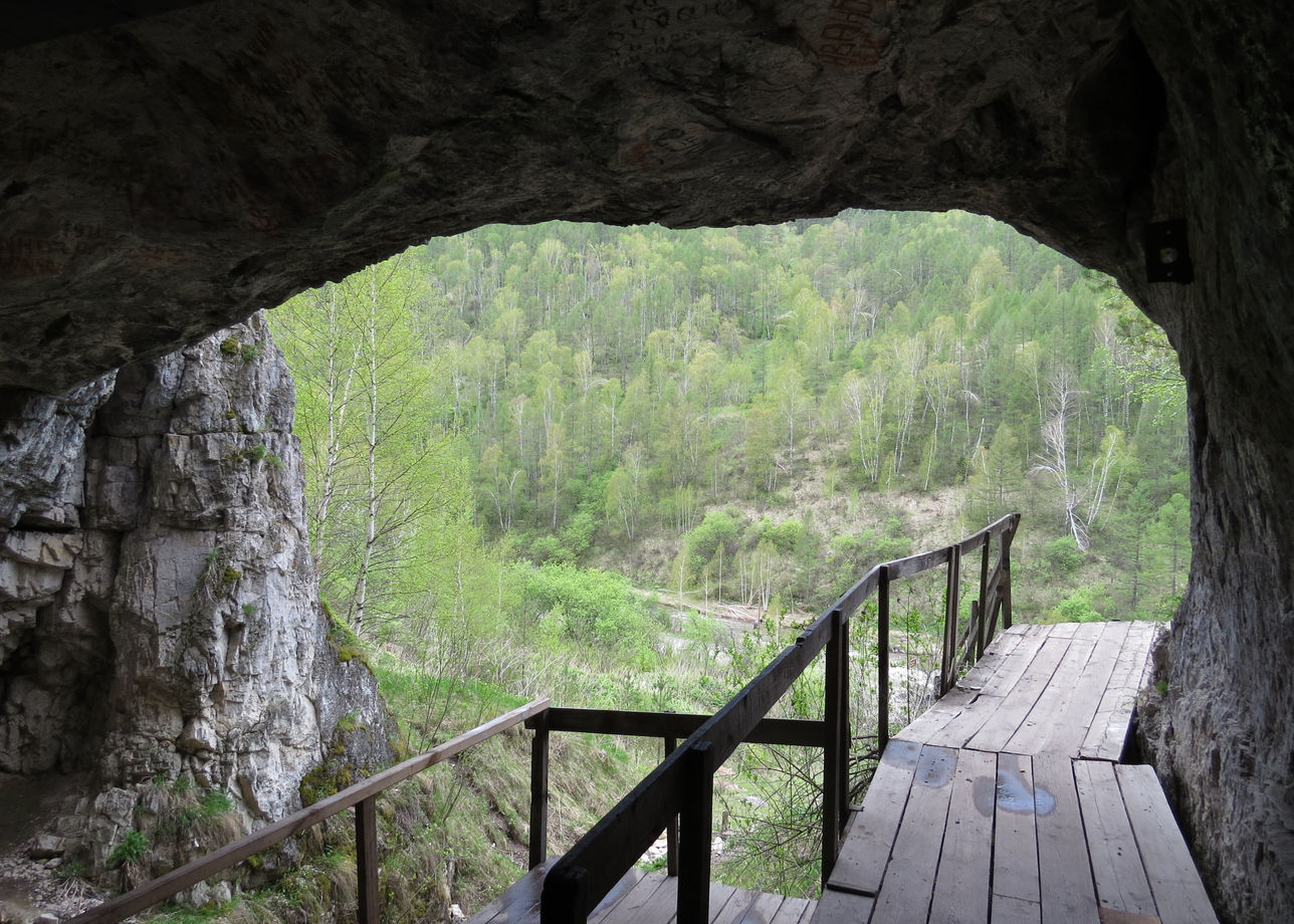 Сенсация Денисовой пещеры