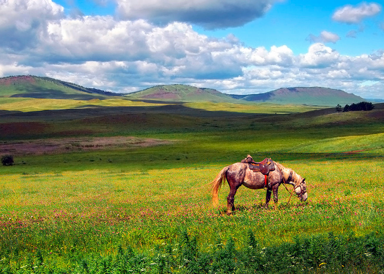 Казахская степь. Казахстан пастбище Жайляу горы лошади. Абайская степь. Табунная степь Ангабаев. Степные лошади Башкирии.