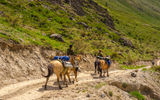 Конный тур к подножию легендарной горы Белуха
