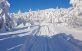 Снегоходный тур: на гору Быкова или Мицульский хребет и японские тоннели