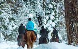 Свободный день - дополнительно конная прогулка или катание на горнолыжном курорте