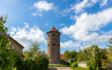 Понедельник: экскурсия "Прогулка по Гвардейску и замок Тапиау" или экскурсия "Калининград - город-крепость"
