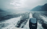 Чудеса Телецкого озера, экскурсия на катере