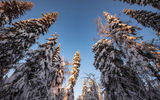 Прибытие в Пермь. Заброска на снегоходах до Усьвинских столбов и посещение Каменного города