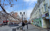 Пешеходная экскурсия по Владивостоку