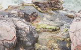 Пляж с яйцами динозавра - Батарейский водопад - Артиллерийская батарея