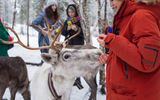 Новогодние арктические каникулы под северным сиянием