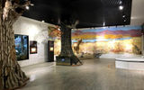 Современный музей Сихотэ-Алинского заповедника. Экскурсия «Тропа тигров»