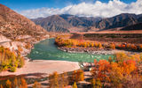 Влюбись в Алтай. Осенний экскурсионный тур