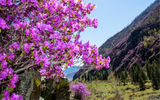 Долина Духов и цветущие горы
