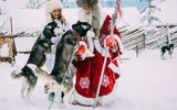 Карельский Дед Мороз - Талвиукко и его верный друзья: хаски и олени. Новогодний разгуляй
