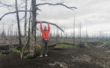 Мертвый лес. Лавовые потоки извержения 2012-2013 годов