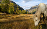 Осенний Алтай. Экскурсионный тур