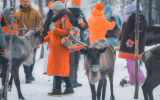 Прибытие в Мурманск. Этнический парк и фотоохота за северным сиянием