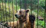 Зоопарк Кавказского заповедника